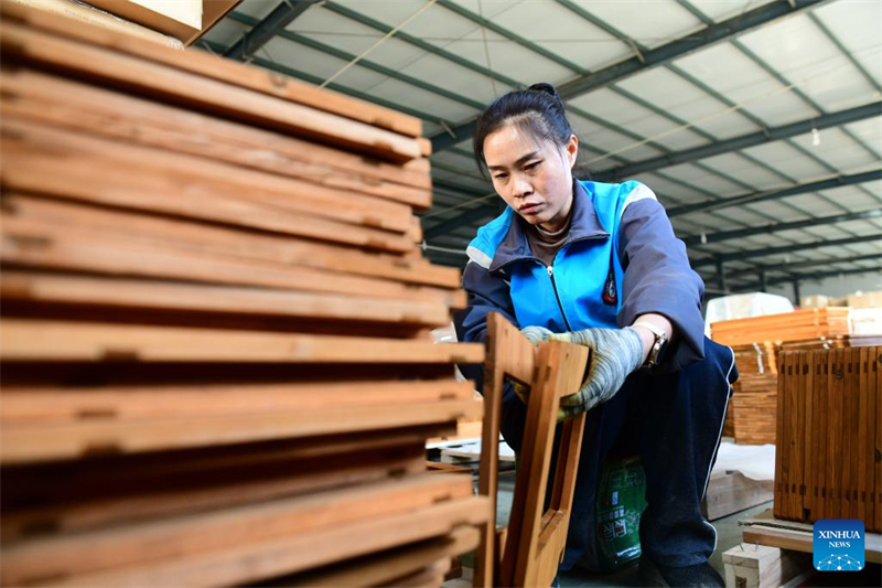 Η κομητεία Τσαοσιάν βιώνει ταχεία ανάπτυξη της οικονομίας των κατοικίδιων ζώων