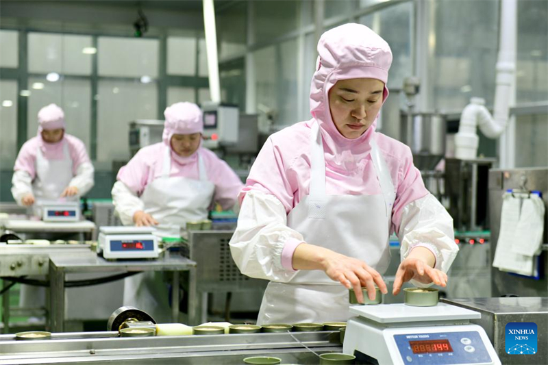 Η κομητεία Τσαοσιάν βιώνει ταχεία ανάπτυξη της οικονομίας των κατοικίδιων ζώων