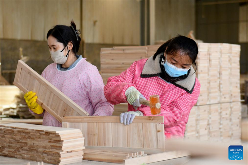 Η κομητεία Τσαοσιάν βιώνει ταχεία ανάπτυξη της οικονομίας των κατοικίδιων ζώων