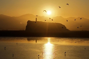 Μεταναστευτικά πουλιά παρατηρήθηκαν στη Λίμνη Πογιάνγκ