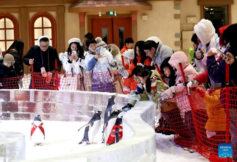 Οι άνθρωποι απολαμβάνουν τον χρόνο τους σε έναν εσωτερικό χώρο στον κόσμο πάγου και χιονιού στη Σαγκάη