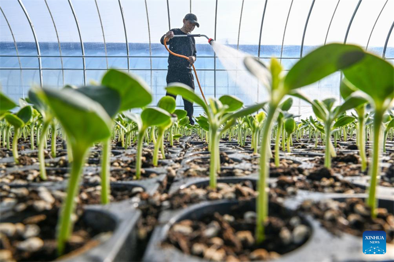 Οι αγροτικές εργασίες σε πλήρη εξέλιξη σε όλη την Κίνα με την έναρξη της άνοιξης