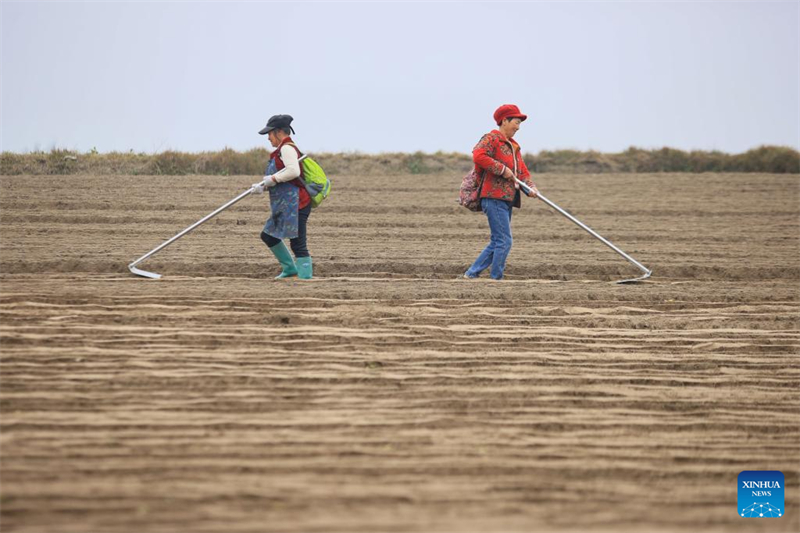 Οι αγροτικές εργασίες σε πλήρη εξέλιξη σε όλη την Κίνα με την έναρξη της άνοιξης