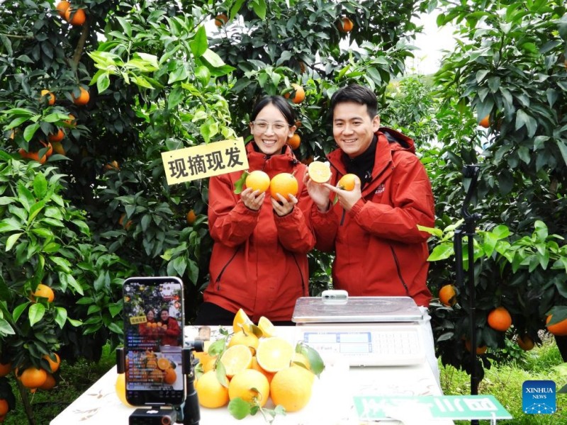 Γεωργικές δραστηριότητες στις αρχές του χειμώνα σε όλη την Κίνα (Φωτογραφίες)