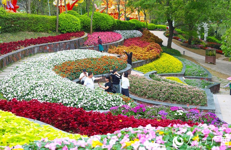 Νανίνγκ, Γκουανγκσί: Η άνοιξη ξεδιπλώνεται μέσα σε ανθισμένα λουλούδια