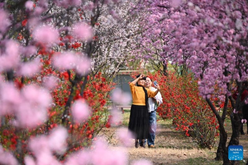 Ο ανοιξιάτικος τουρισμός σημειώνει άνθηση σε όλη την Κίνα