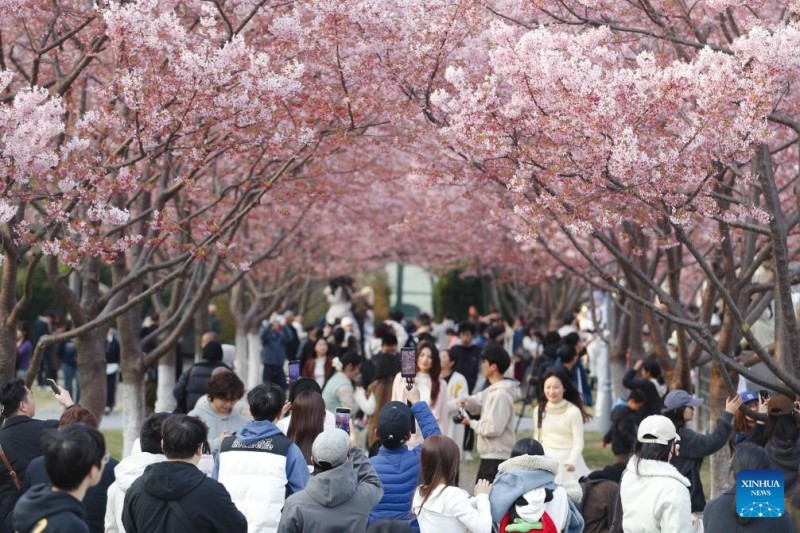 Ο ανοιξιάτικος τουρισμός σημειώνει άνθηση σε όλη την Κίνα