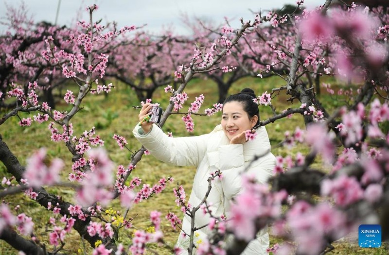 Ο ανοιξιάτικος τουρισμός σημειώνει άνθηση σε όλη την Κίνα