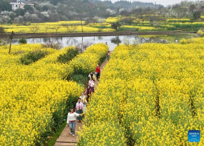 Ο ανοιξιάτικος τουρισμός σημειώνει άνθηση σε όλη την Κίνα
