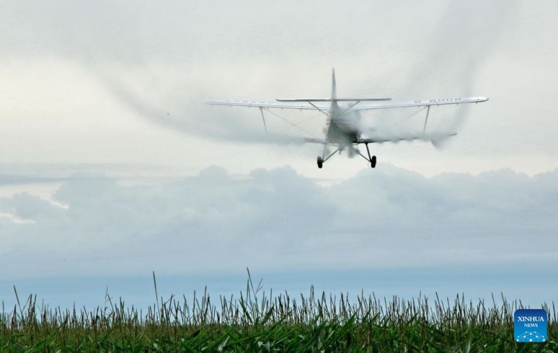 Αεροσκάφη και drones συμβάλλουν στη διασφάλιση της φθινοπωρινής συγκομιδής σιτηρών στην επαρχία Χεϊλονγκτζιάνγκ της Κίνας